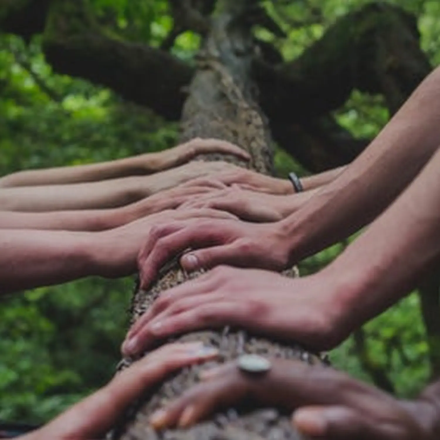 Menschen greifen Baum an von DMB - Marion Bourgeois 